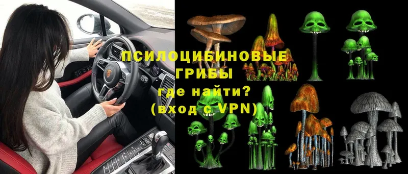 Галлюциногенные грибы MAGIC MUSHROOMS  Киренск 